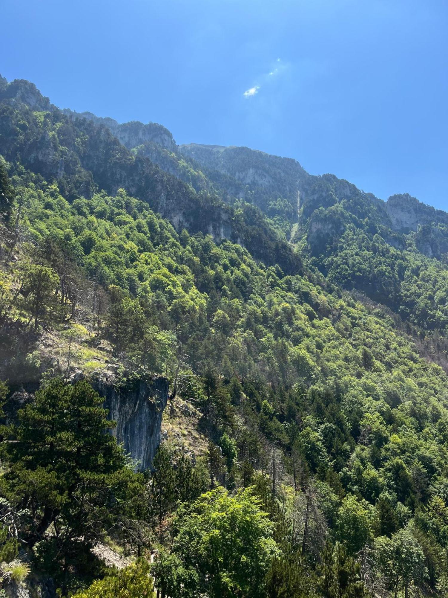 Bujtina Kapinova Hotel Berat Bagian luar foto